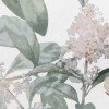 Honpo | Flower Field